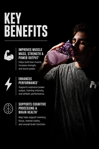 Crown of Thorns Creatine Monohydrate - Creatine Supplement - Flight Foods